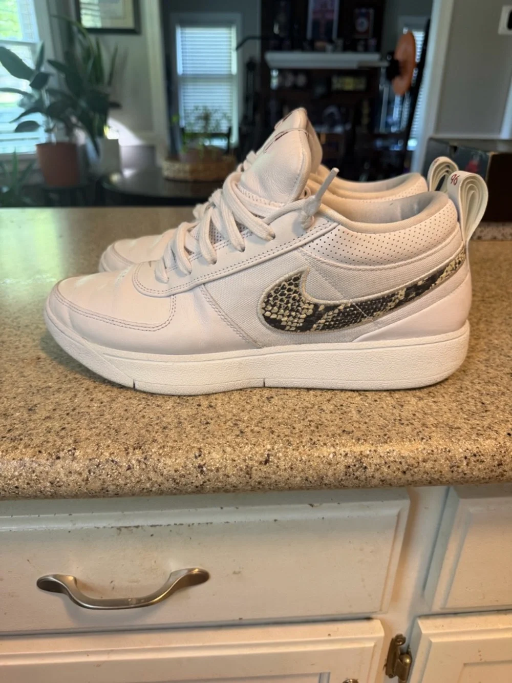 Book Chapter 1 “Rattlesnake” - Picture 2 of 6